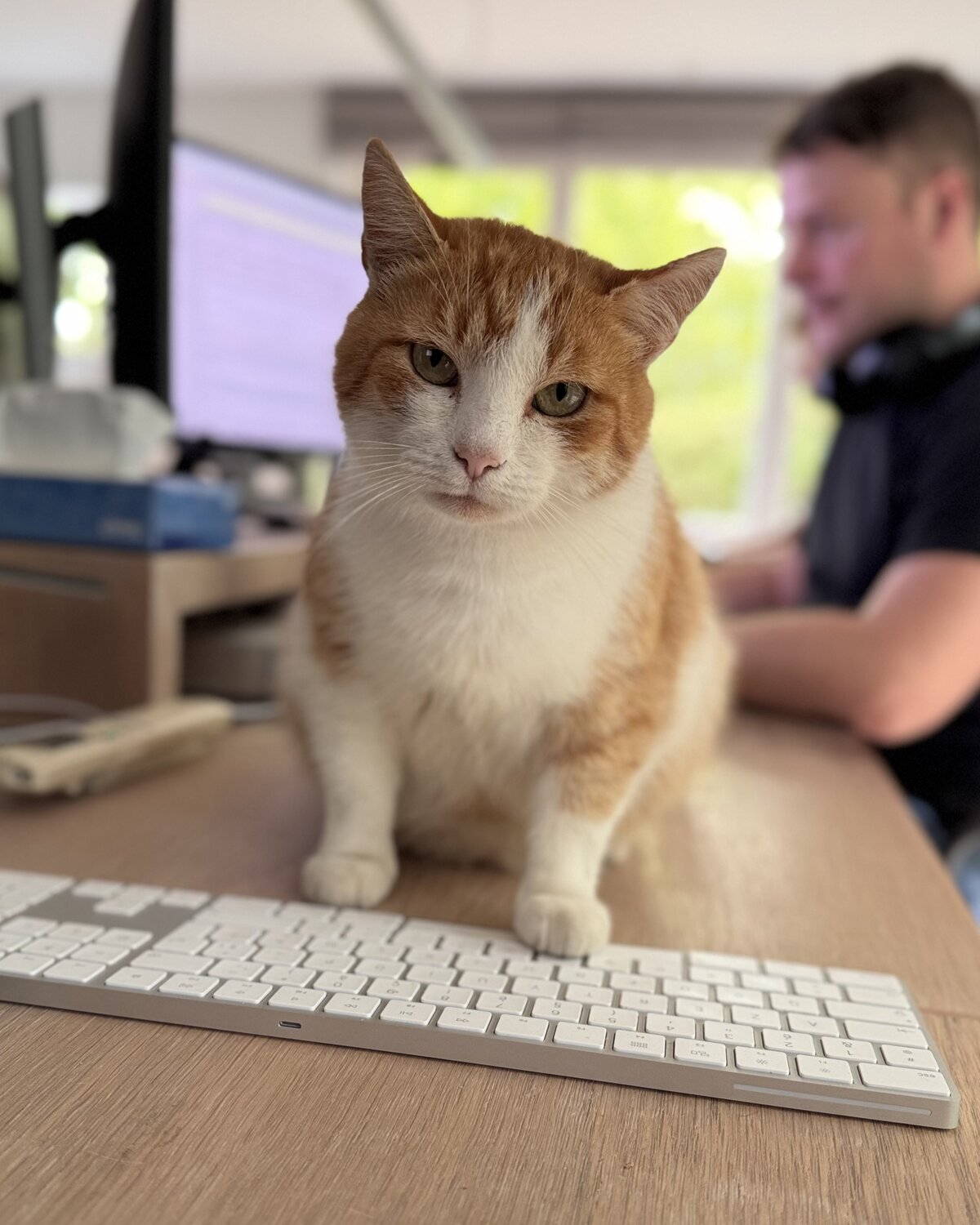 Ronny - Director of Mouse Operations