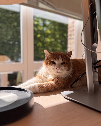 Ronny - Director of Mouse Operations
