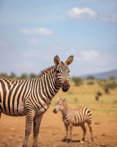 Kenia