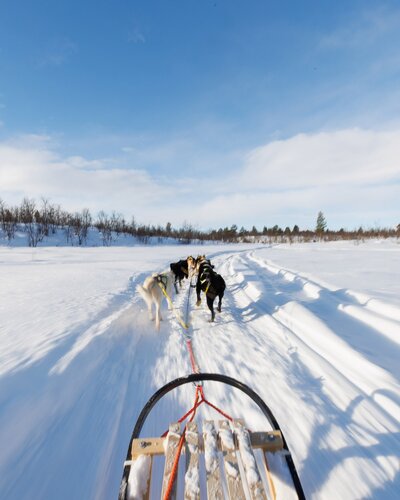 Lapland